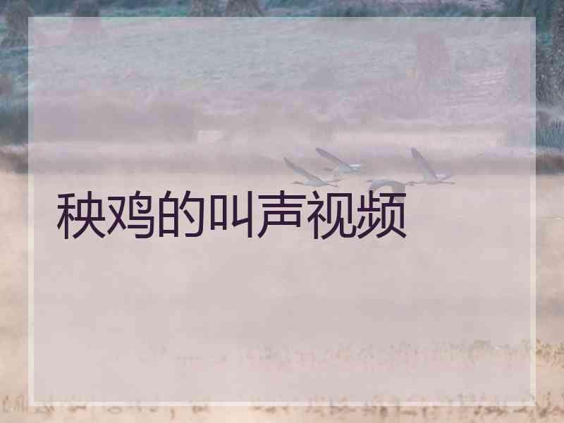 秧鸡的叫声视频