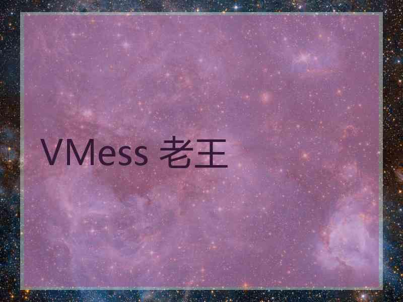 VMess 老王