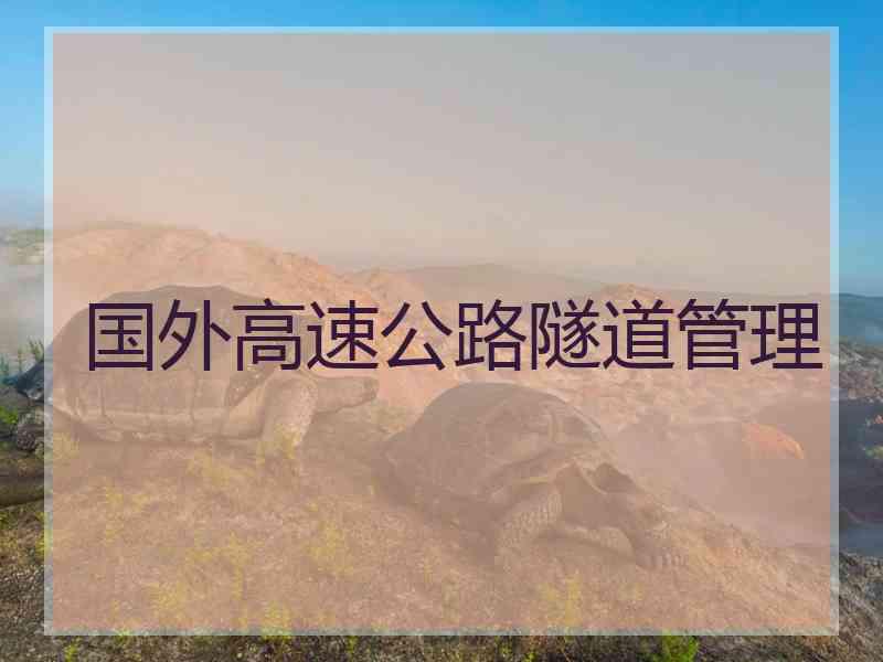 国外高速公路隧道管理