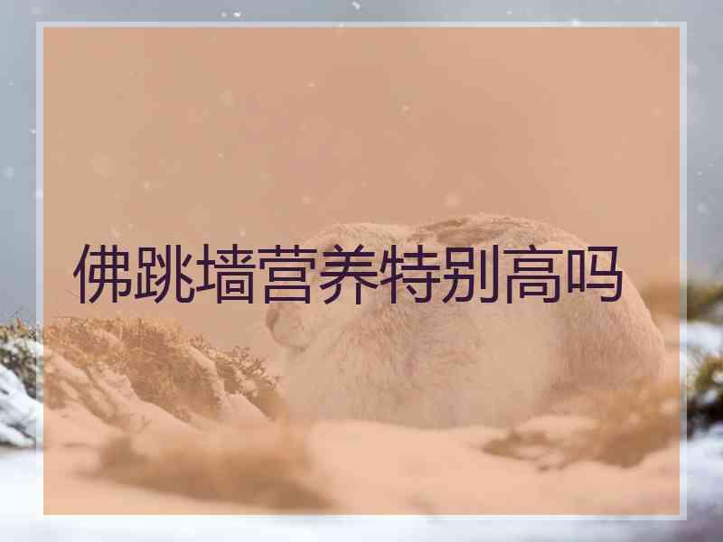 佛跳墙营养特别高吗