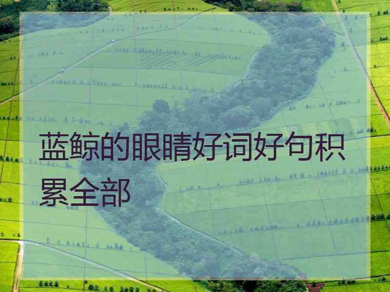 蓝鲸的眼睛好词好句积累全部