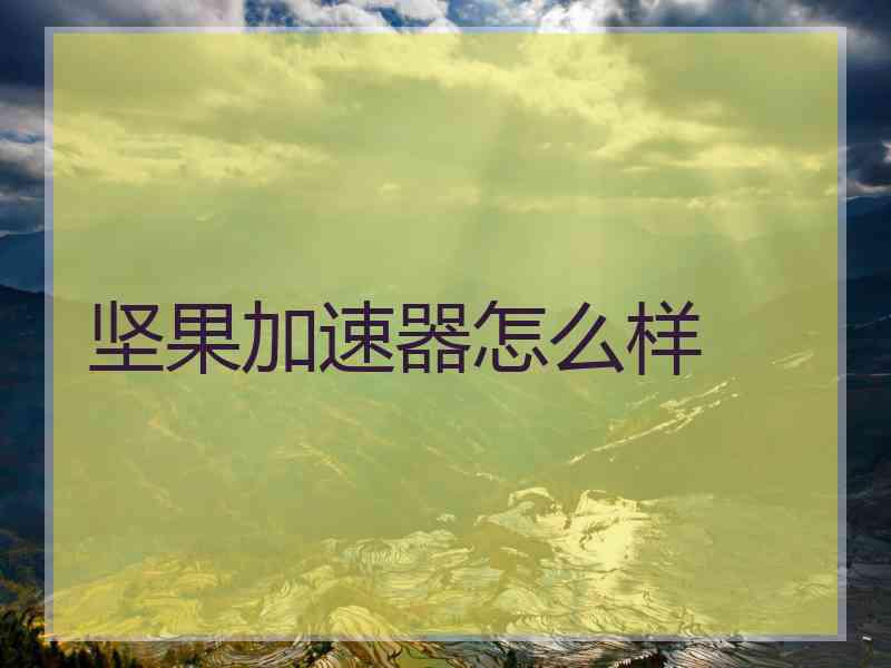 坚果加速器怎么样
