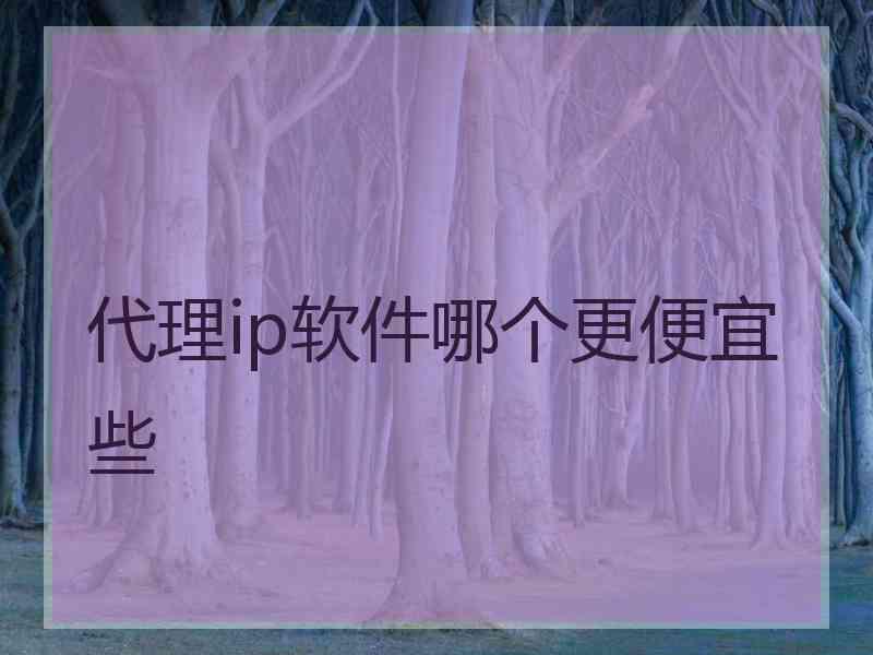 代理ip软件哪个更便宜些