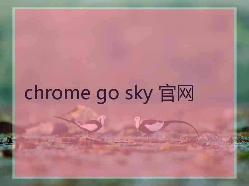chrome go sky 官网