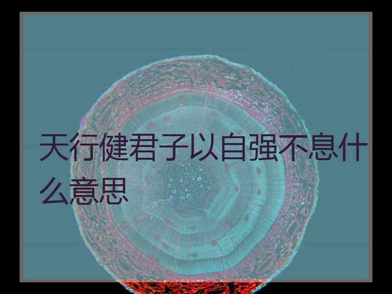 天行健君子以自强不息什么意思 天行健君子以自强不息什么意思