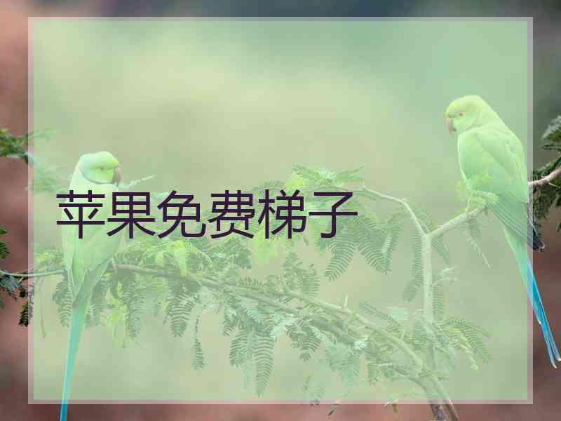 苹果免费梯子