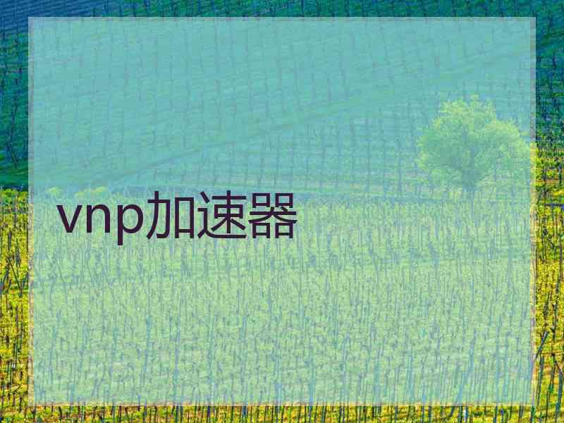 vnp加速器