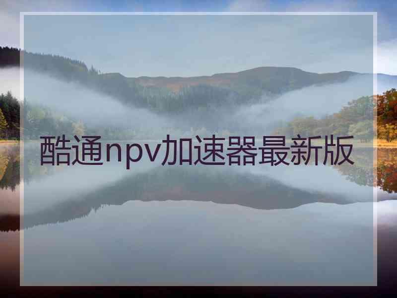 酷通npv加速器最新版