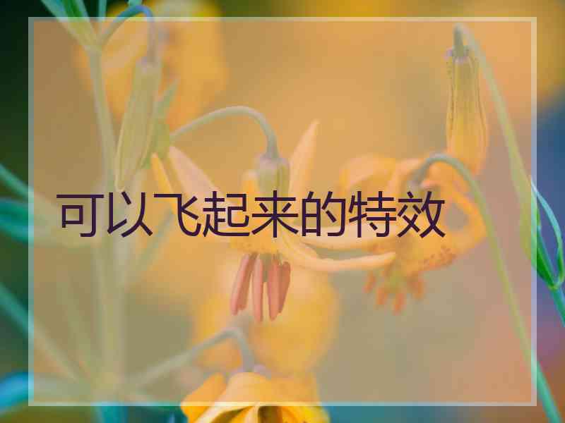 可以飞起来的特效