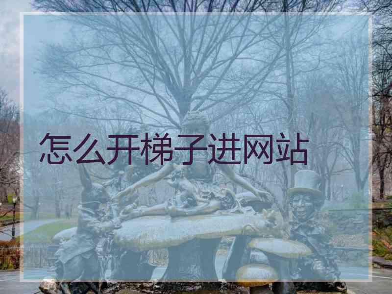 怎么开梯子进网站