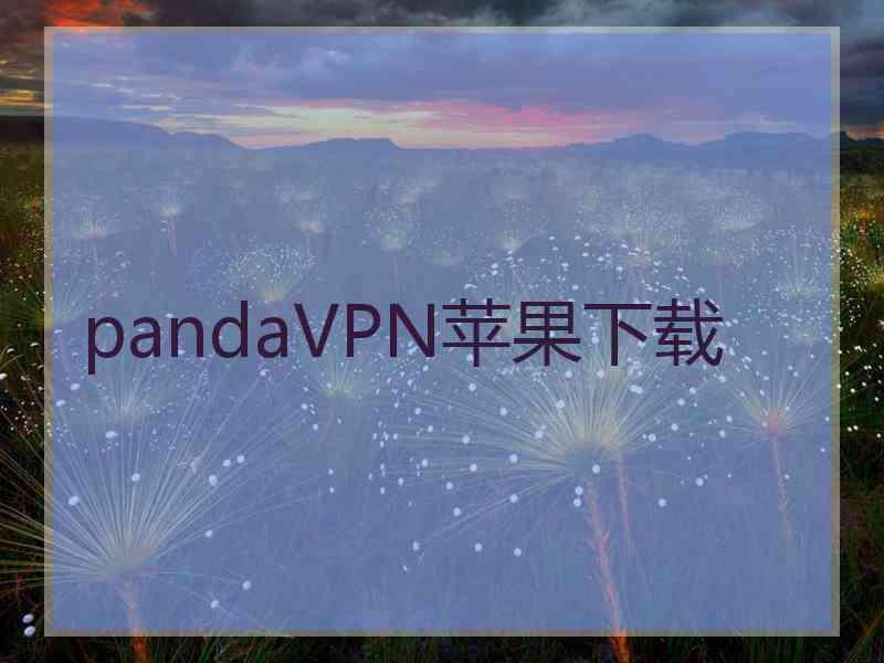 pandaVPN苹果下载