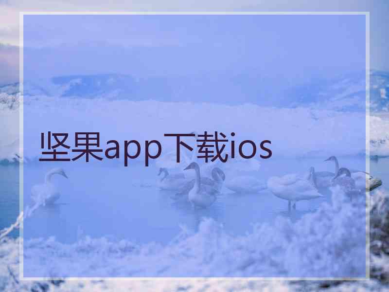 坚果app下载ios