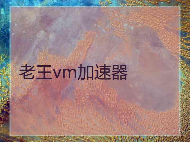 老王vm加速器