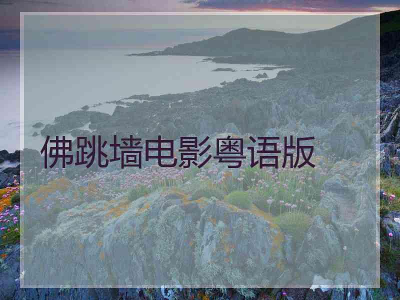 佛跳墙电影粤语版