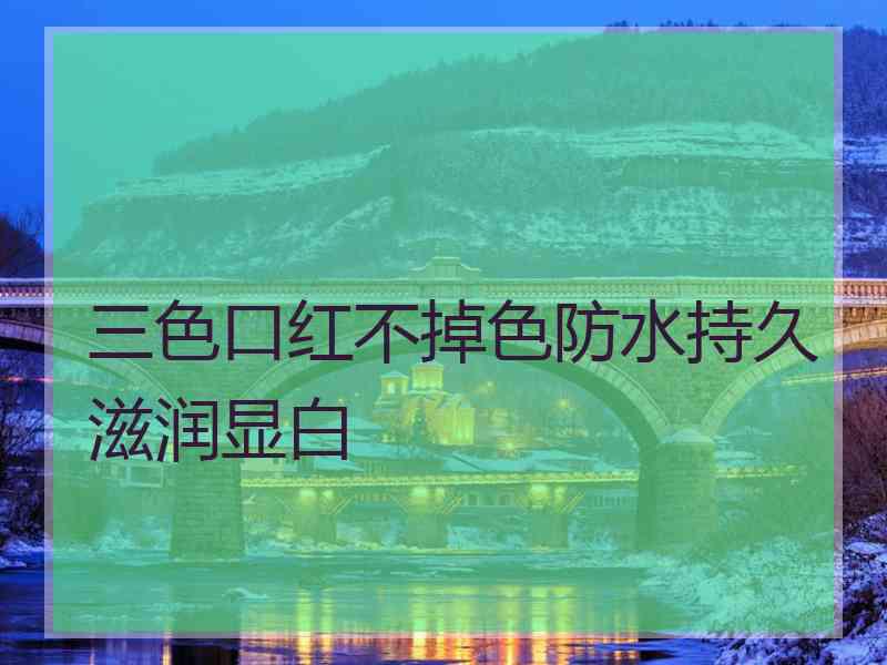 三色口红不掉色防水持久滋润显白