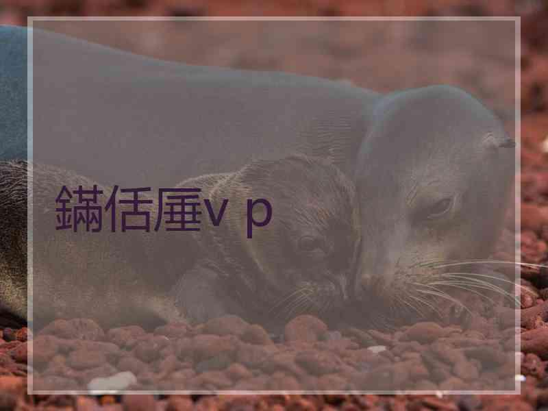 鏋佸厜v p