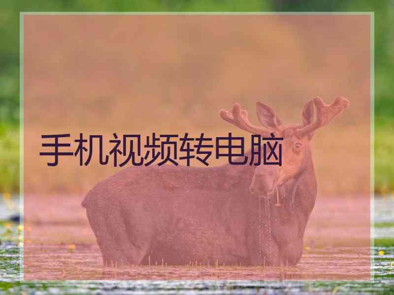 手机视频转电脑