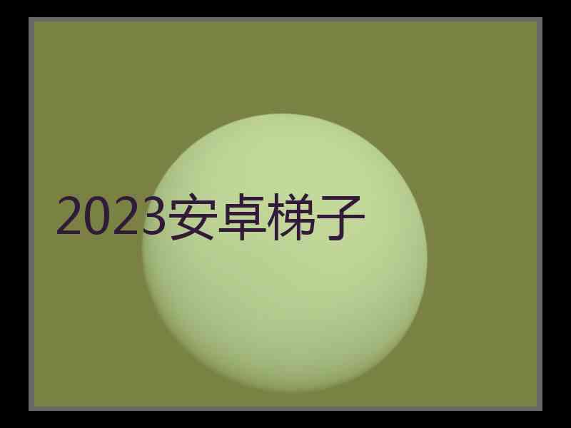 2023安卓梯子