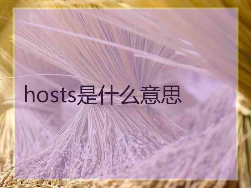 hosts是什么意思