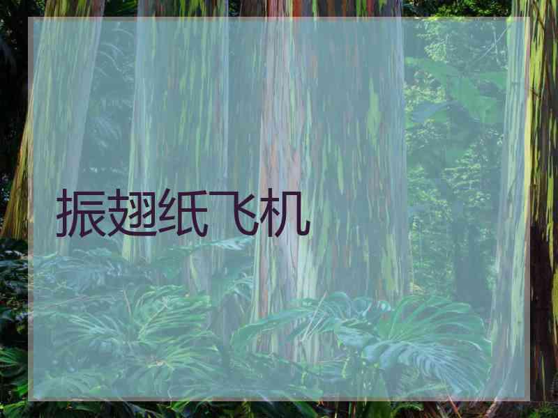 振翅纸飞机