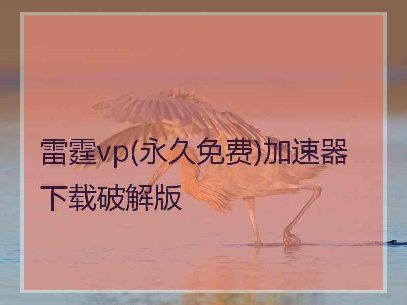 雷霆vp(永久免费)加速器下载破解版