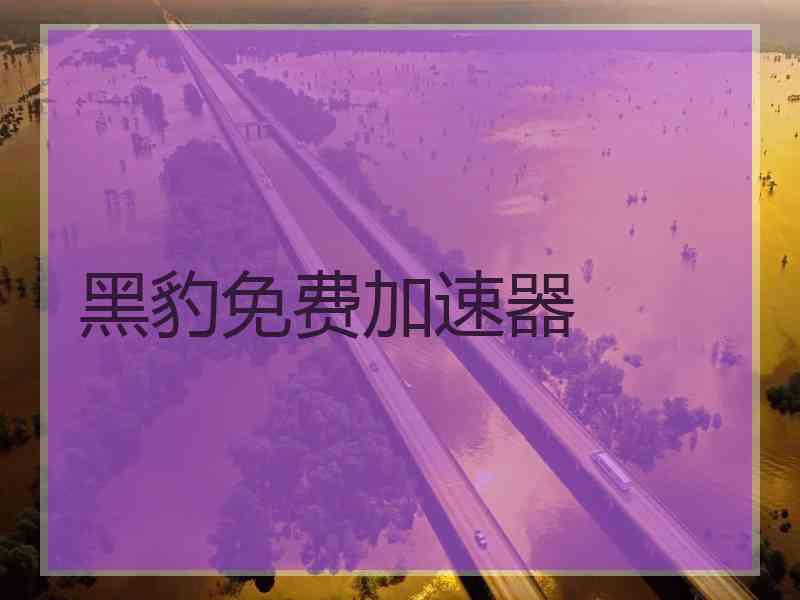 黑豹免费加速器