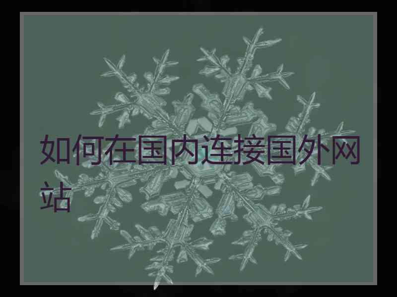 如何在国内连接国外网站