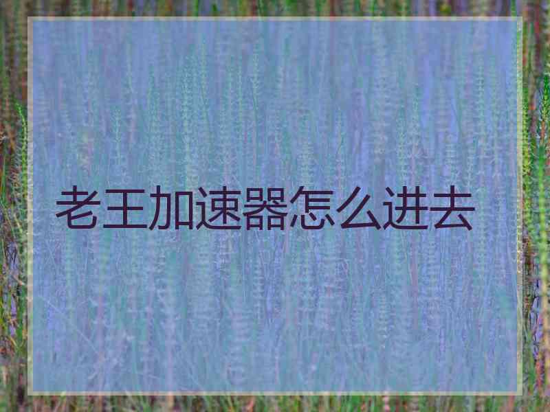 老王加速器怎么进去