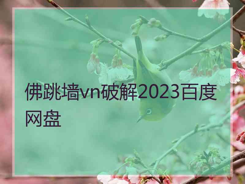 佛跳墙vn破解2023百度网盘