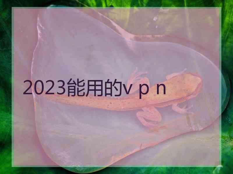 2023能用的v p n
