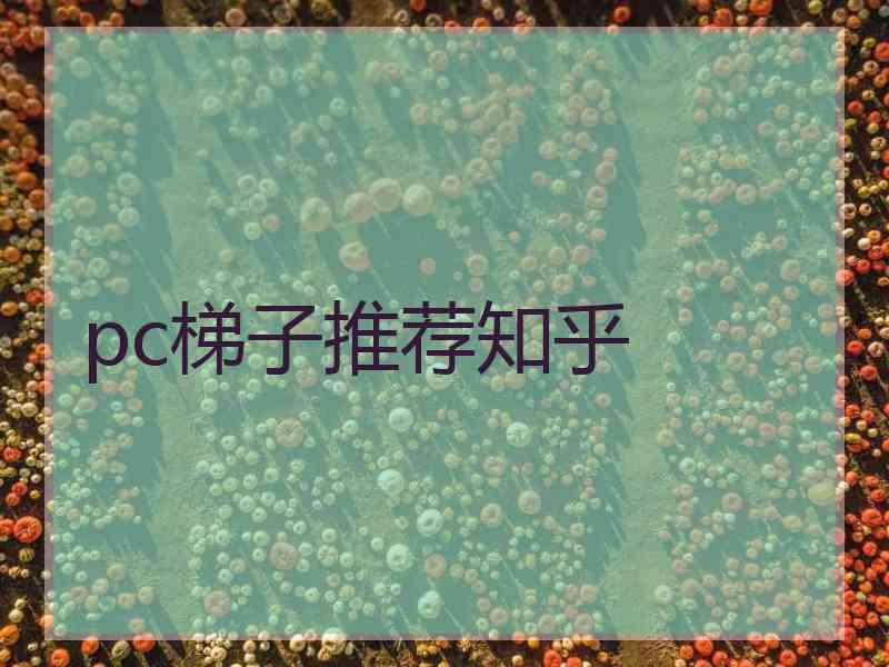 pc梯子推荐知乎