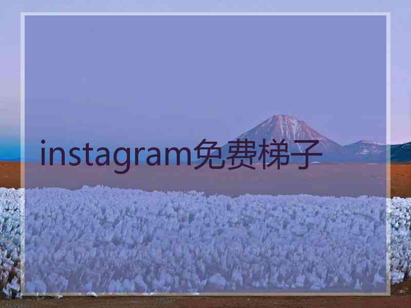 instagram免费梯子