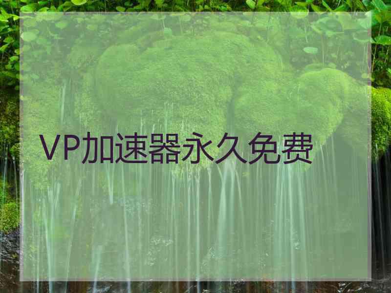 VP加速器永久免费