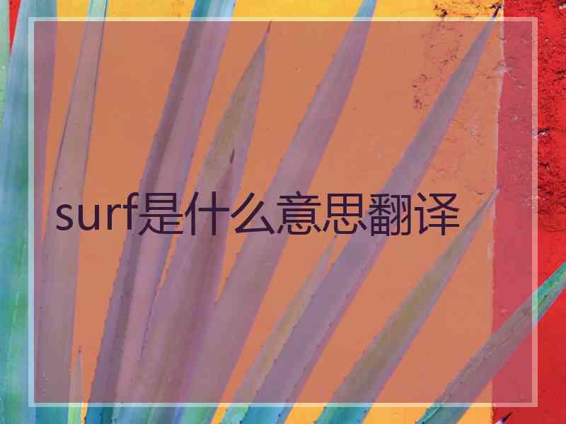 surf是什么意思翻译