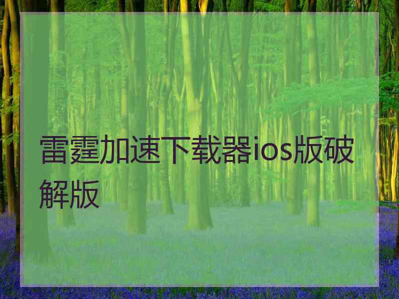 雷霆加速下载器ios版破解版