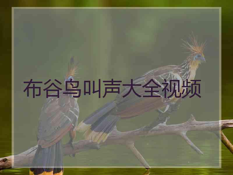 布谷鸟叫声大全视频