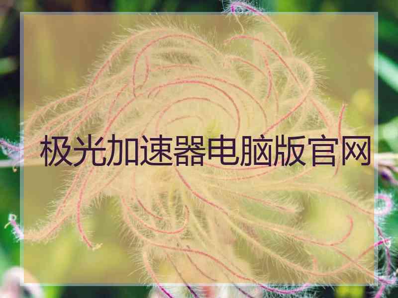 极光加速器电脑版官网