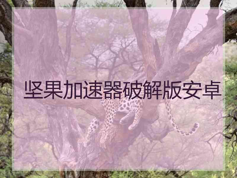 坚果加速器破解版安卓