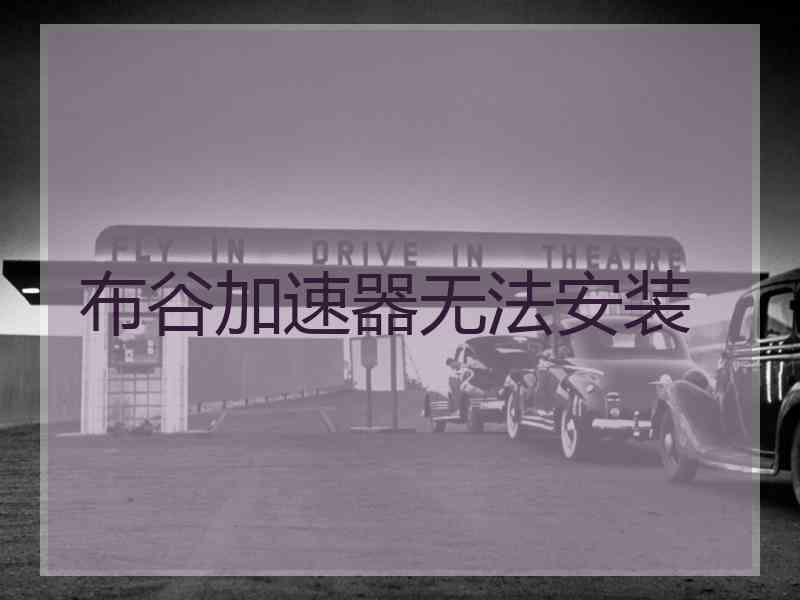 布谷加速器无法安装