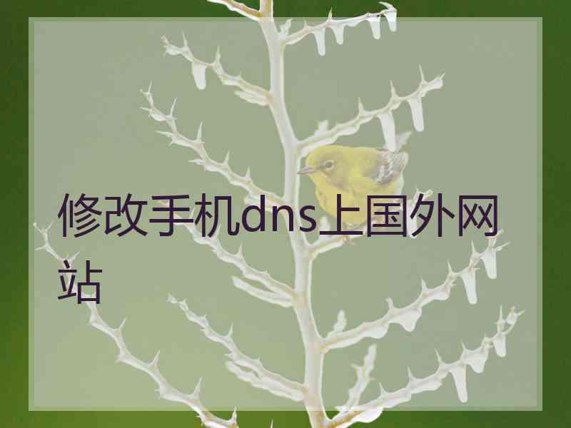 修改手机dns上国外网站
