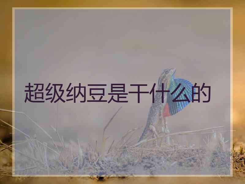 超级纳豆是干什么的