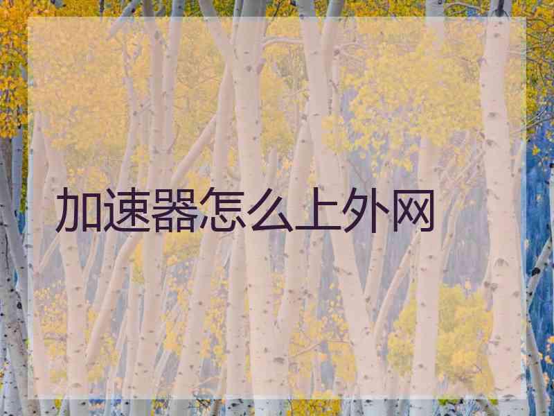 加速器怎么上外网