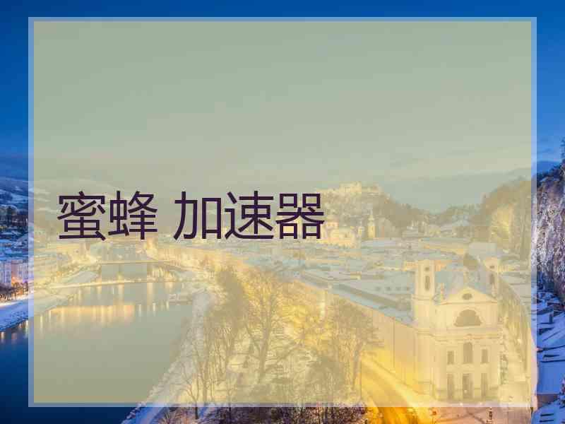 蜜蜂 加速器