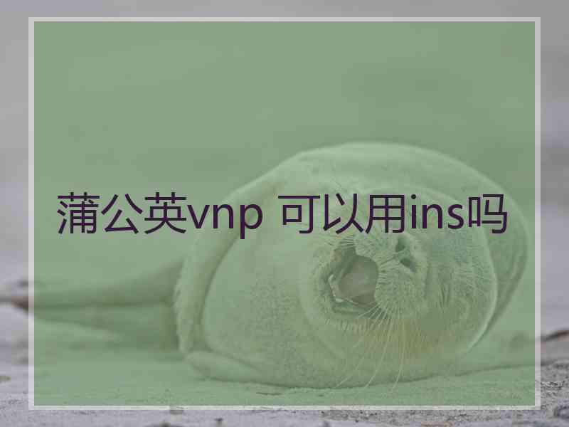 蒲公英vnp 可以用ins吗