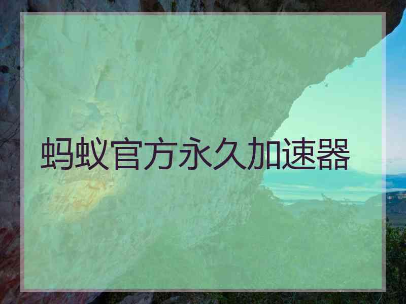 蚂蚁官方永久加速器