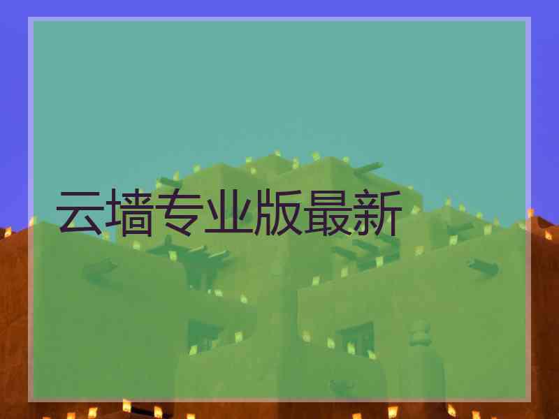 云墙专业版最新