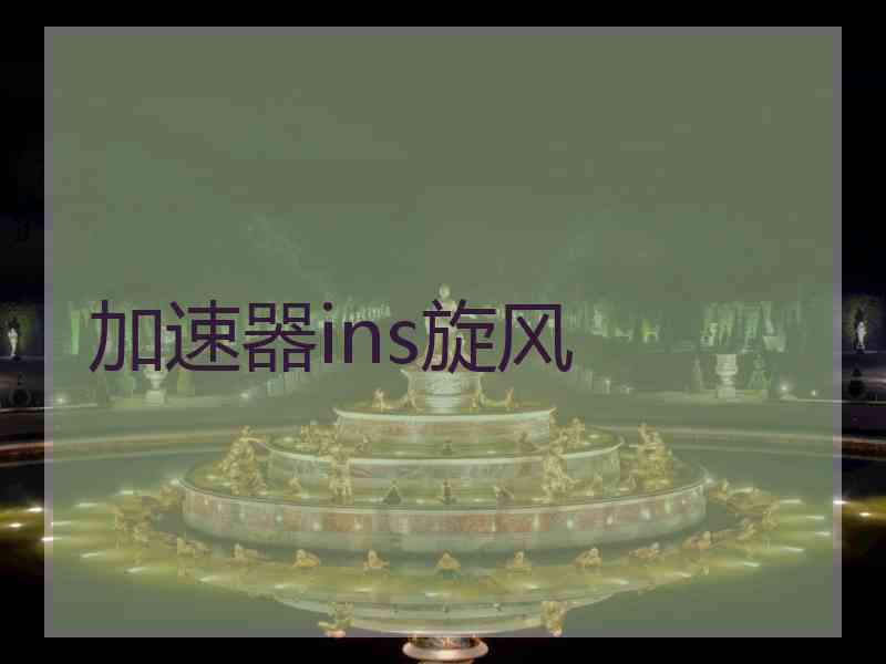 加速器ins旋风