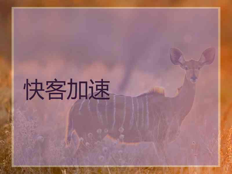 快客加速