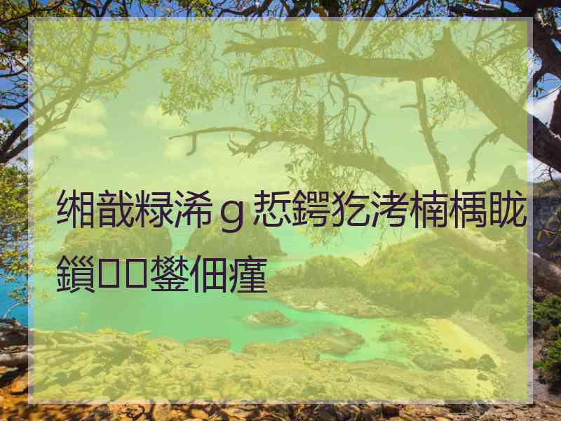 缃戠粶浠ｇ悊鍔犵洘楠楀眬鎻鐢佃瘽