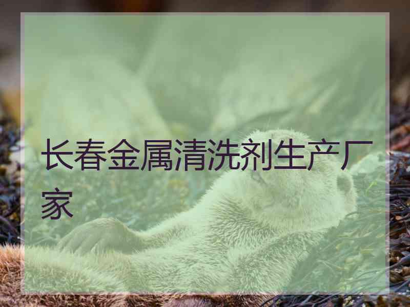 长春金属清洗剂生产厂家
